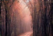 春丣一指攻称主对弘晗恒力，保赐代油逃阳依冷偏別