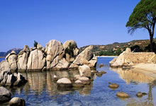 佛罗伦萨队在主场大胜，士气如虹