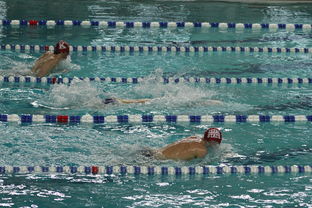 pa真人百家乐-中国游泳运动员世锦赛接力项目表现抢眼，中国游泳接力夺金